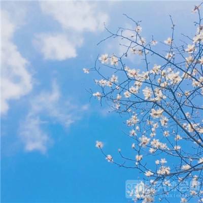 修仙圣域手游最新版(暂未上线)v1.1.6 安卓版